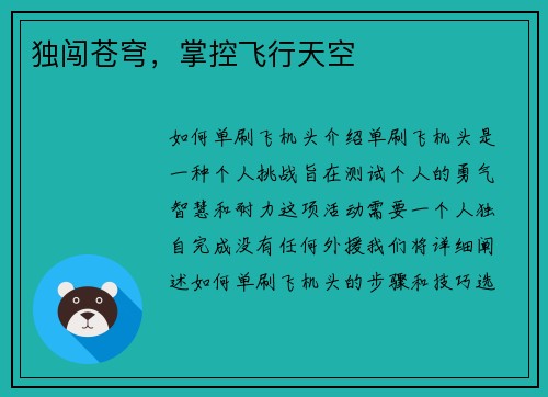 独闯苍穹，掌控飞行天空